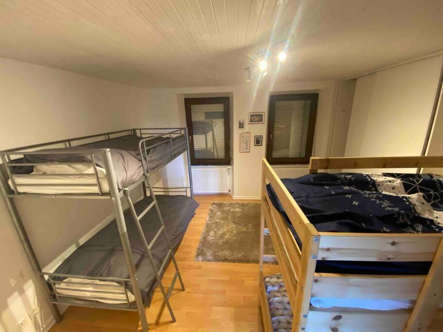 Appartement Emile Galle. Goetzenbruck 外观 照片